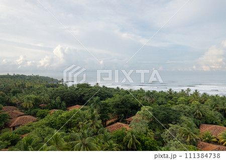 Villas tiled roof in jungle trees Villas tiled roof in jungle trees 111384738