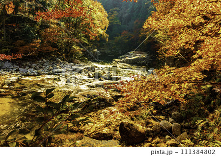 秋の奥津渓谷 111384802