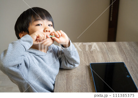 タブレットとタッチペンで勉強するカメラ目線の子ども タブレットとタッチペンで勉強するカメラ目線の子ども 111385375