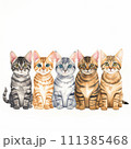 ベンガル並べ④ 111385468