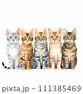 ベンガル並べ③ 111385469