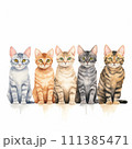 ベンガル並べ② 111385471