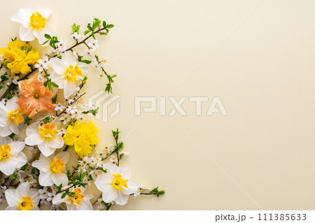 Festive background with spring flowers Festive background with spring flowers 111385633