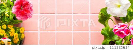 Flowers on pink tile background 111385634
