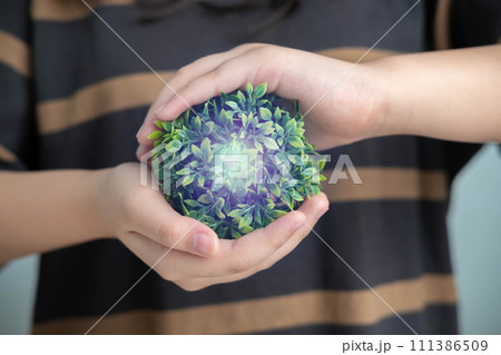 Hands cradling a vibrant green plant, embodying the essence of nature, growth, and eco-friendly care in agriculture. 111386509