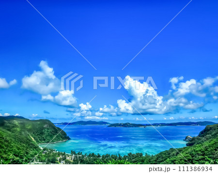 沖縄　渡嘉敷島の風景 111386934