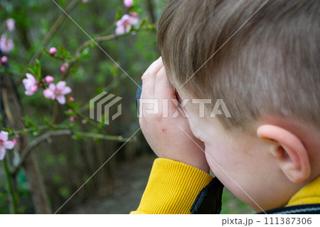 A boy looks through a binoculars at a flower garden. High quality photo 111387306