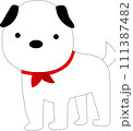 散歩する可愛い白い犬 111387482