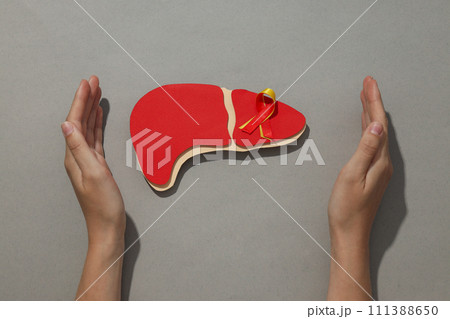 Paper liver and hands on gray background, top view Paper liver and hands on gray background, top view 111388650