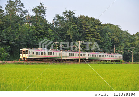 信越本線　群馬八幡ー安中　JR東日本　107系　R113+R115編成（高崎） 111389194
