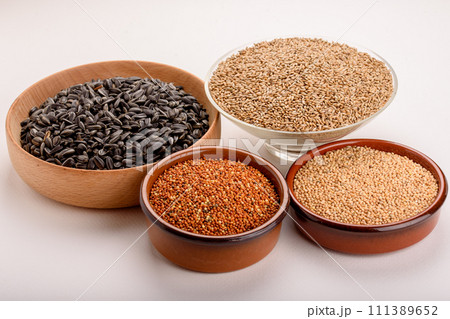 dried grains bird food. Red millet grain, yellow millet grain, black sunflower seeds and canary grass seeds. 111389652