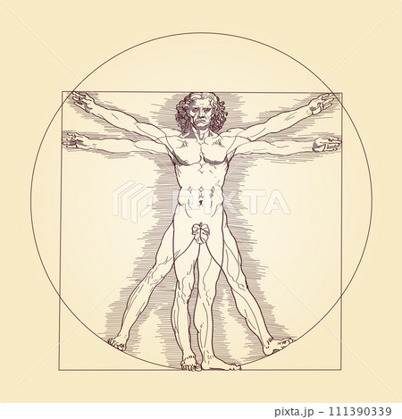 Vitruvian man, with fig leaf. Depiction of perfect human proportions with the nature, cosmos and geometry. A man stands in the center of a circle and a square, reference to the squaring of the circle. Vitruvian man, with fig leaf. Depiction of perfect human proportions with the nature, cosmos and geometry. A man stands in the center of a circle and a square, reference to the squaring of the circle. 111390339