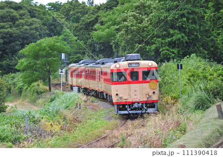 豊肥本線 肥後大津ー瀬田 キハ65-36+キハ58-569+キハ66-1+キハ67-1 ひかり 豊肥本線 肥後大津ー瀬田 キハ65-36+キハ58-569+キハ66-1+キハ67-1 ひかり 111390418