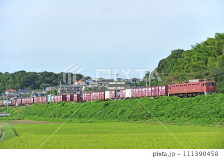 鹿児島本線　東郷ー東福間　JR貨物　EF81-302（門司） 111390458