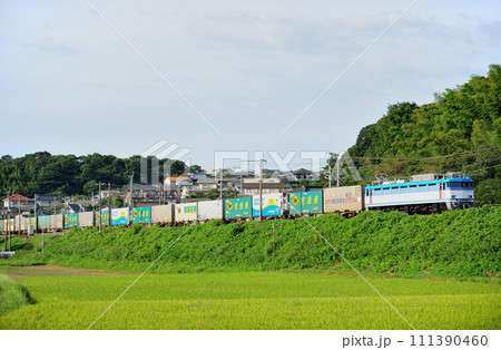 鹿児島本線 東郷ー東福間 JR貨物 EF81-451(門司) 鹿児島本線 東郷ー東福間 JR貨物 EF81-451(門司) 111390460