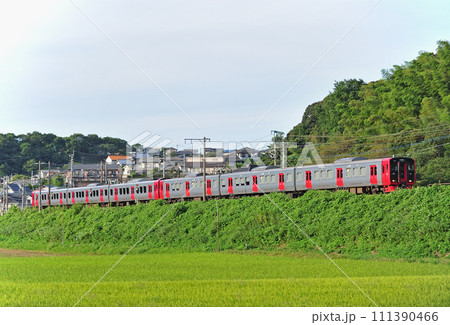 鹿児島本線　東郷ー東福間　JR九州　813系　R217編成（南福岡） 111390466