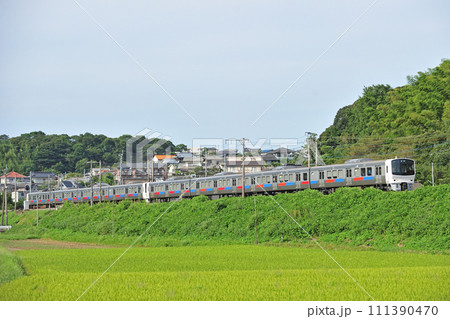 鹿児島本線　東郷ー東福間　JR九州　811系　P1編成（南福岡） 111390470