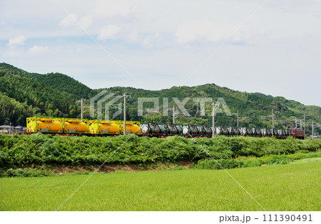 鹿児島本線 東福間ー東郷 JR貨物 EF81(門司) 鹿児島本線 東福間ー東郷 JR貨物 EF81(門司) 111390491