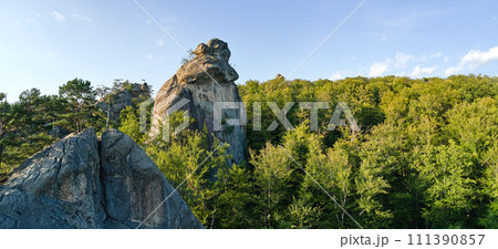 Panoramic view of bright landscape with green forest trees and big rocky boulders between dense woods in summer. Beautiful scenery of wild woodland. 111390857