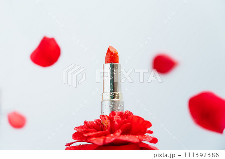 Red lipstick with water drops stands on camellia rose flower as on podium presenting demonstration product with falling petals on white background. Moisturizing and natural components cosmetic Red lipstick with water drops stands on camellia rose flower as on podium presenting demonstration product with falling petals on white background. Moisturizing and natural components cosmetic 111392386