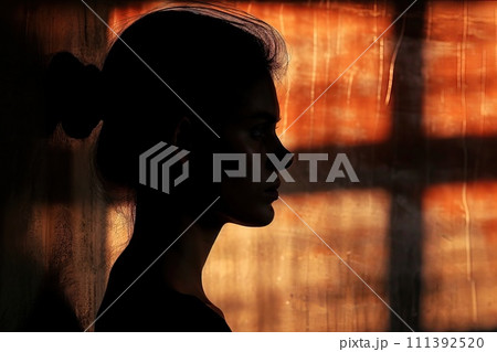 Silhouette of woman's head with with minimal details Silhouette of woman's head with with minimal details 111392520