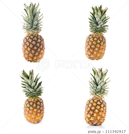 Pineapples 111392917