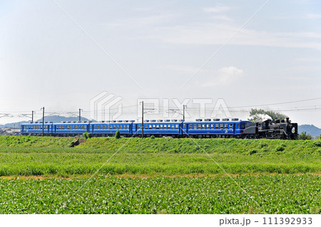 北陸本線 河毛ー虎姫 JR西日本 C56-160(梅小路)+12系(宮原) SL北びわこ 北陸本線 河毛ー虎姫 JR西日本 C56-160(梅小路)+12系(宮原) SL北びわこ 111392933