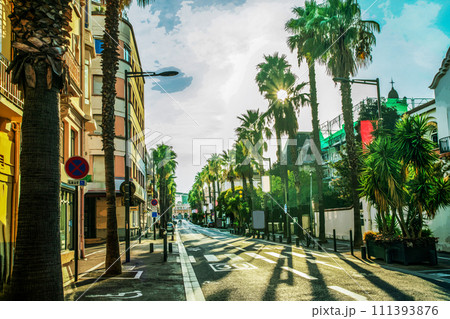 Street to railway station and bus station of Perpignan with tall palm trees! Sunset! Street to railway station and bus station of Perpignan with tall palm trees! Sunset! 111393876