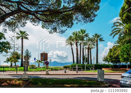 Fantastic park in left part of Croisette with pine trees and palm trees in Cannes . Cars in parking lots 111393892