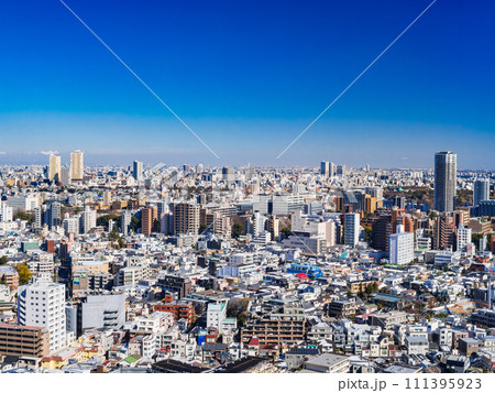 東京シティビュー 文京区・台東区周辺広域 東京シティビュー 文京区・台東区周辺広域 111395923