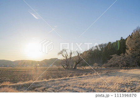 栃木 遊行柳と夕日(那須町) 栃木 遊行柳と夕日(那須町) 111396870