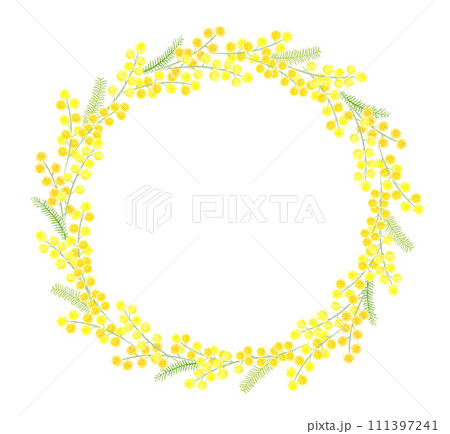 水彩で描くミモザの円フレーム 111397241