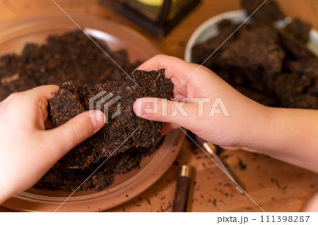 Tea ceremony: breaking up pressed pu-erh tea with a tea knife for brewing 111398287