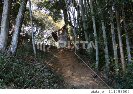 初春の山口熊野神社 111398603