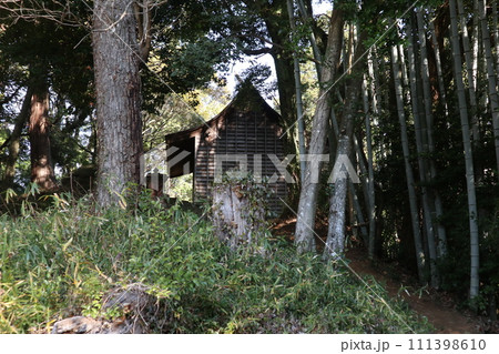 初春の山口熊野神社 初春の山口熊野神社 111398610