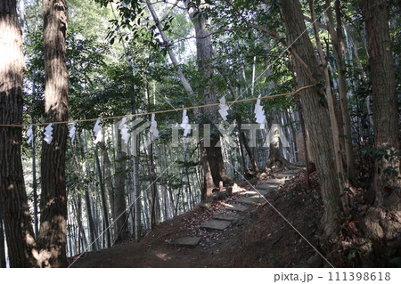 初春の山口熊野神社 111398618