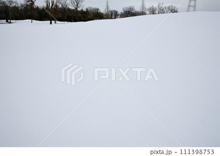 関東地方の大雪　荒川河川敷の冬模様　雪景色　　 111398753