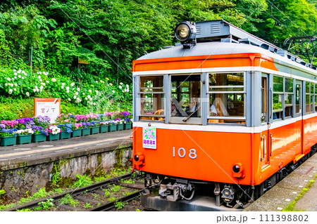 箱根登山鉄道　あじさい電車  （宮ノ下駅） 111398802