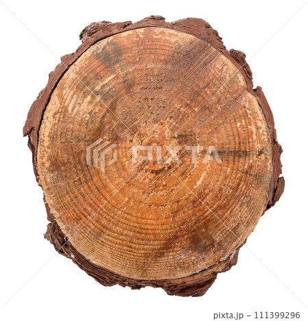 Wood log slice Wood log slice 111399296