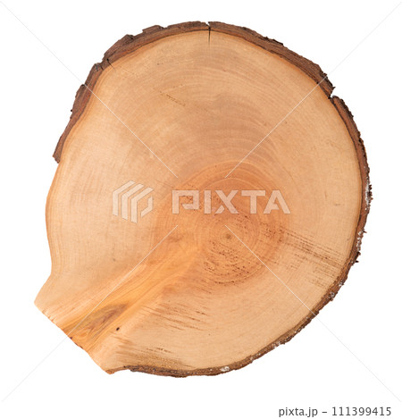 Wood log slice 111399415