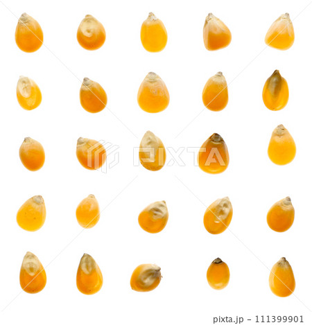 Set of corn beans 111399901