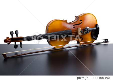 Violin 111400498