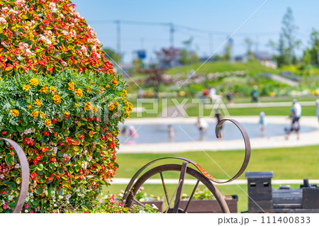 道と川の駅 花ロードえにわ お花畑 道と川の駅 花ロードえにわ お花畑 111400833