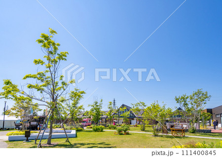 道と川の駅 花ロードえにわ　お花畑 111400845