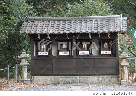 梅花薫る大阪高槻の上宮天満宮 111401347