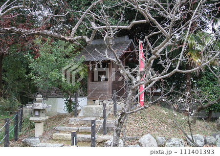 梅花薫る大阪高槻の上宮天満宮 111401393