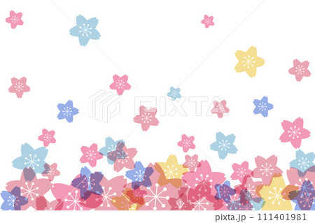 カラフルな桜 111401981