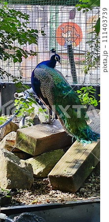 ふれあい楽しめる愛知牧場 ふれあい楽しめる愛知牧場 111403739