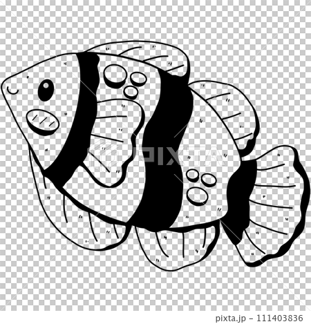 Hand drawn doodle fish. black line fishes in doodle ink style 111403836