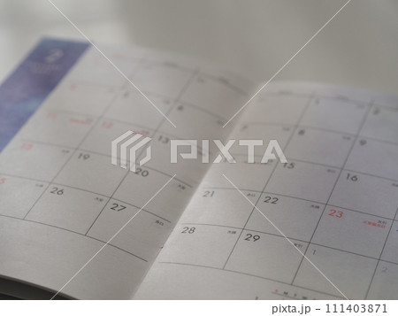 2月29日にピントを合わせた月間予定帳 111403871